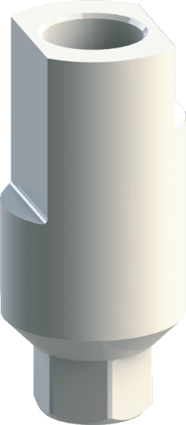 Ritter Implants CAD/CAM Scan Body OS-WP