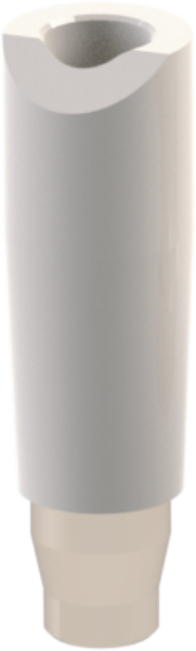 Ritter Implants CAD/CAM Scan Body NA-RP
