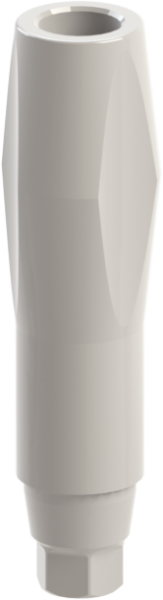 Ritter Implants Peek Scan Body GM-RP Short