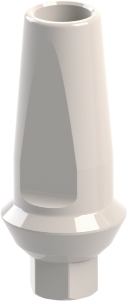 Ritter Implants Peek Straight Abutment SV-WP H 1mm PA-SV-WP10