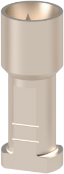 Ritter Implants Implant Replica / Analog NA-RP IA-NA-RP