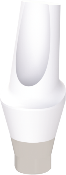 Ritter Implants Zircocam™ Angled Anatomic Zirconia Abutment NA-NP 15° / H 3mm ZAA-NA-NP1530