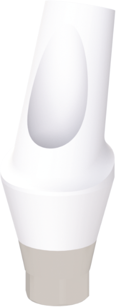 Ritter Implants Zircocam™ Angled Anatomic Zirconia Abutment NA-NP 25° / H 3mm  ZAA-NA-NP2530