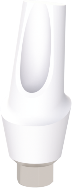 Ritter Implants Zircocam™ Angled Anatomic Zirconia Abutment SV-NP 15° / H 3mm ZAA-SV-NP1530
