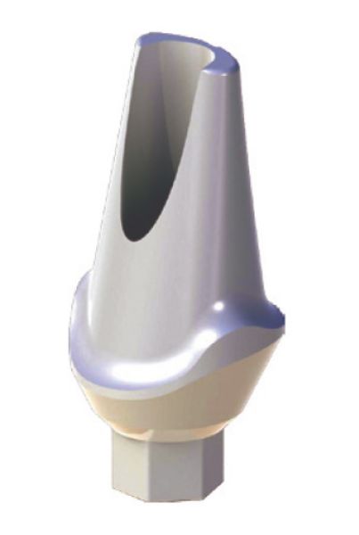Ritter Implants Peek-On X-Shape Straight Peek Abutment 1mm Shoulder 64,10 L=9.2mm XSPA-1