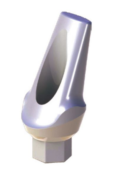 Ritter Implants Peek-On X-Shape 15° Angled Peek Abutment 0.5mm Shoulder, L=8.4mm XAPA-15-05